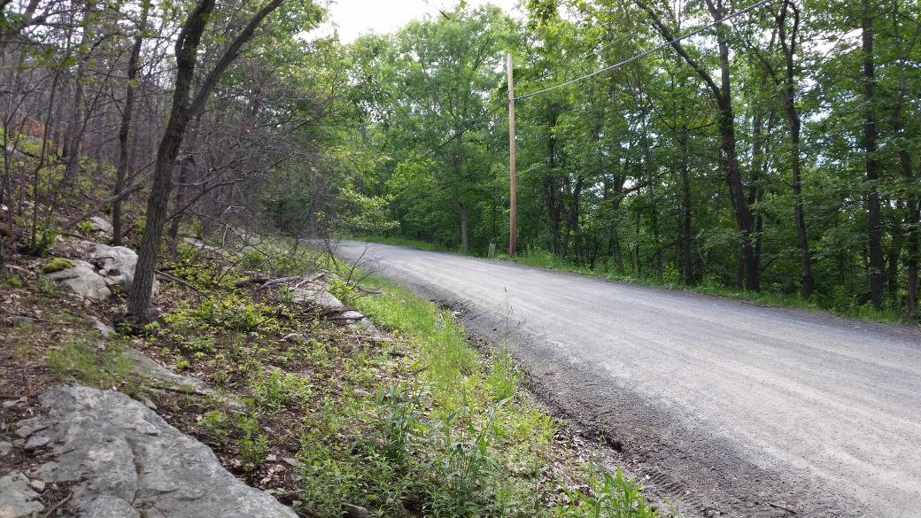 Looking down Ferguson Road