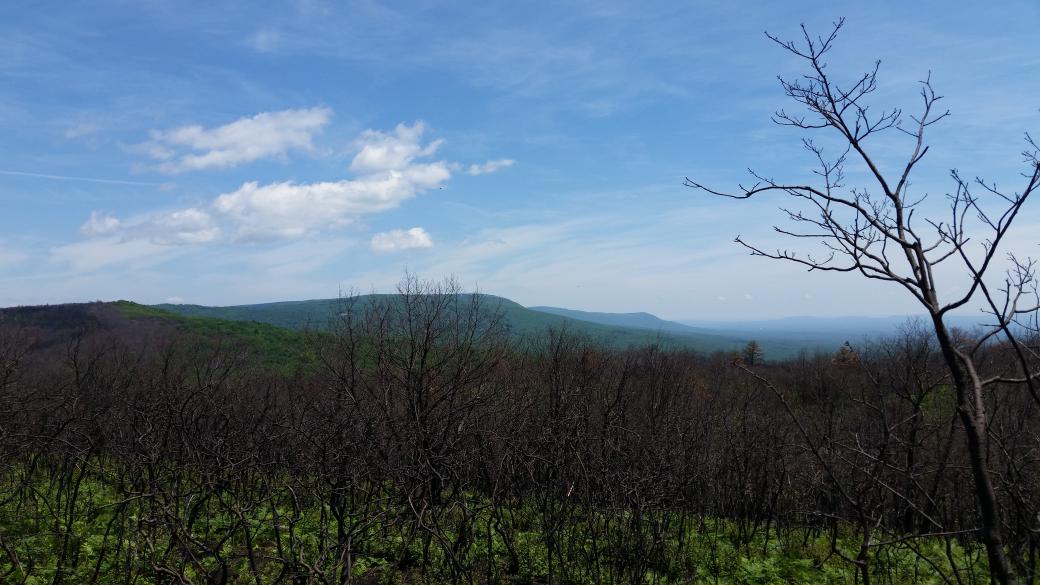 General view of the Shawangunk Ridge extending off to the horizon