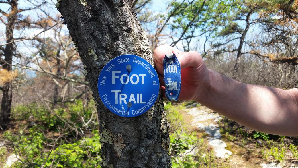 A trail marker that has been deformed due to the heat of the recent forest fire