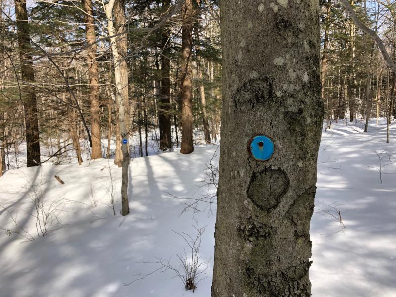 Daniels Road State Forest and Surrounding Lands - 3 Mar 2019 and 23 Feb 2019