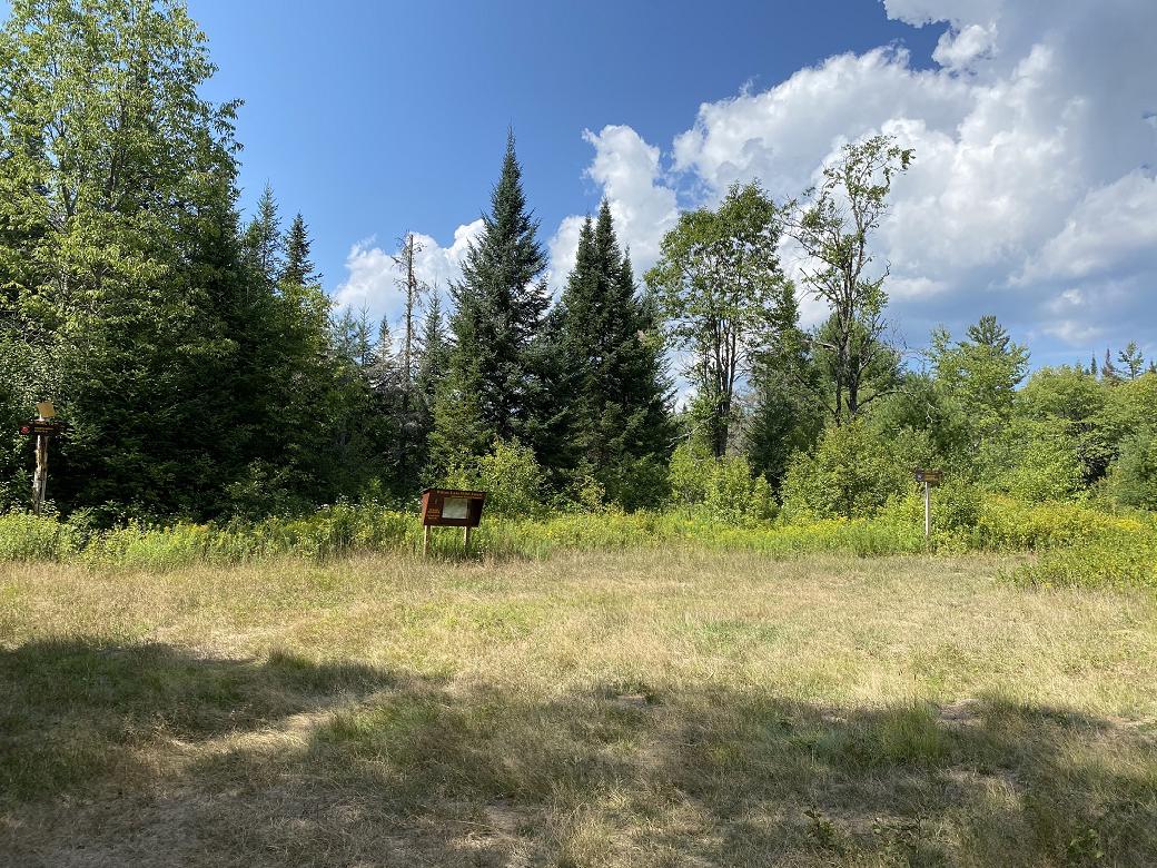 A picture showing the Baldwin Springs trailhead.  It's a grassy clearing, with a trail register box, and a trail direction sign on either side