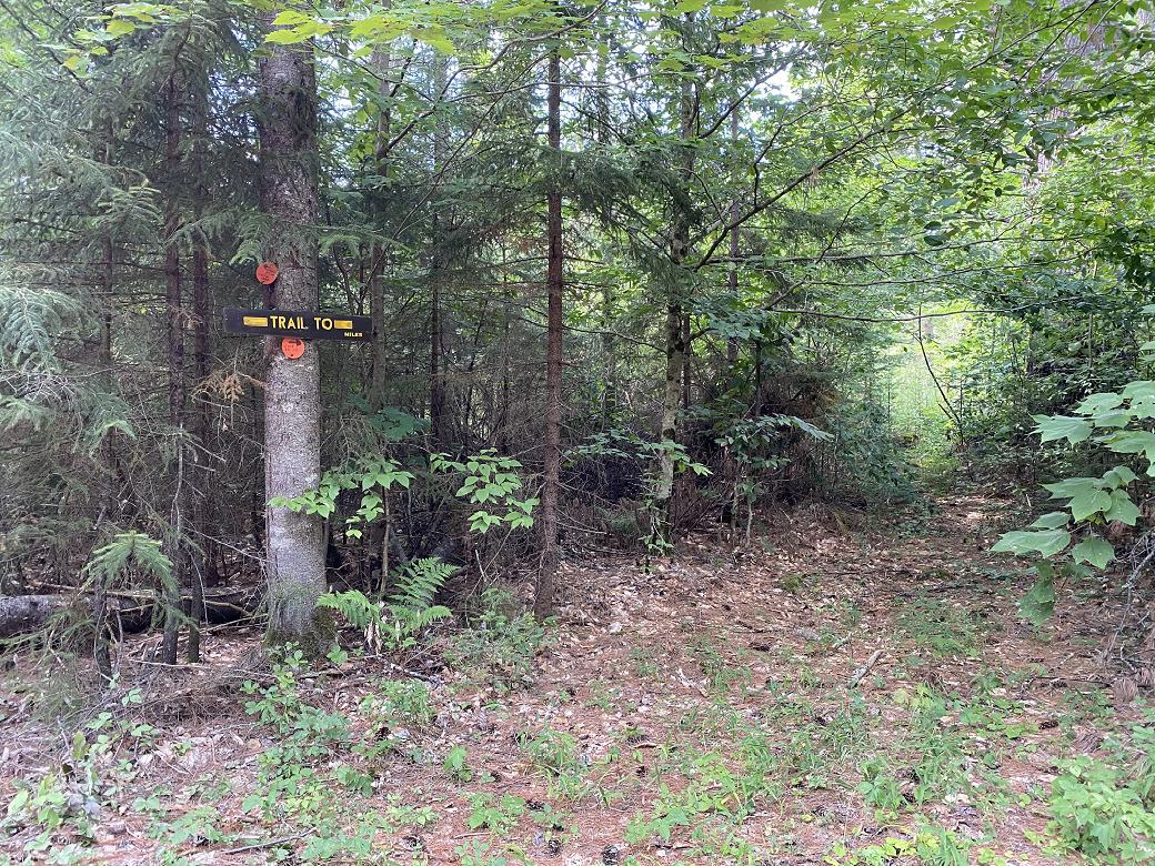 A trailhead along West Stony Creek Road.  The trail sign only says "Trail To" and doesn't say where the trail goes.
