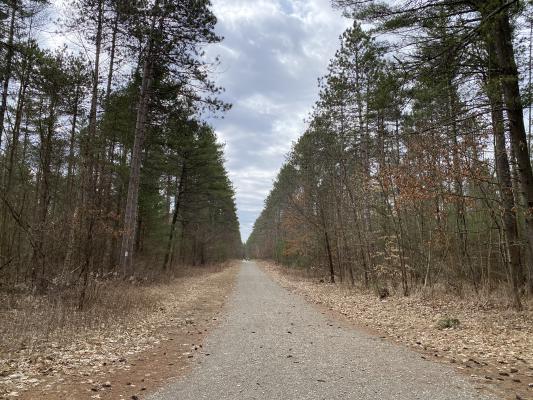 Potters Woods x Rush Pond - 6 Apr 2022