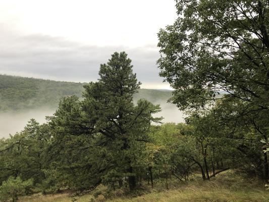 Shawangunk Ridge Trail Run/Hike - 2019 - Part 2