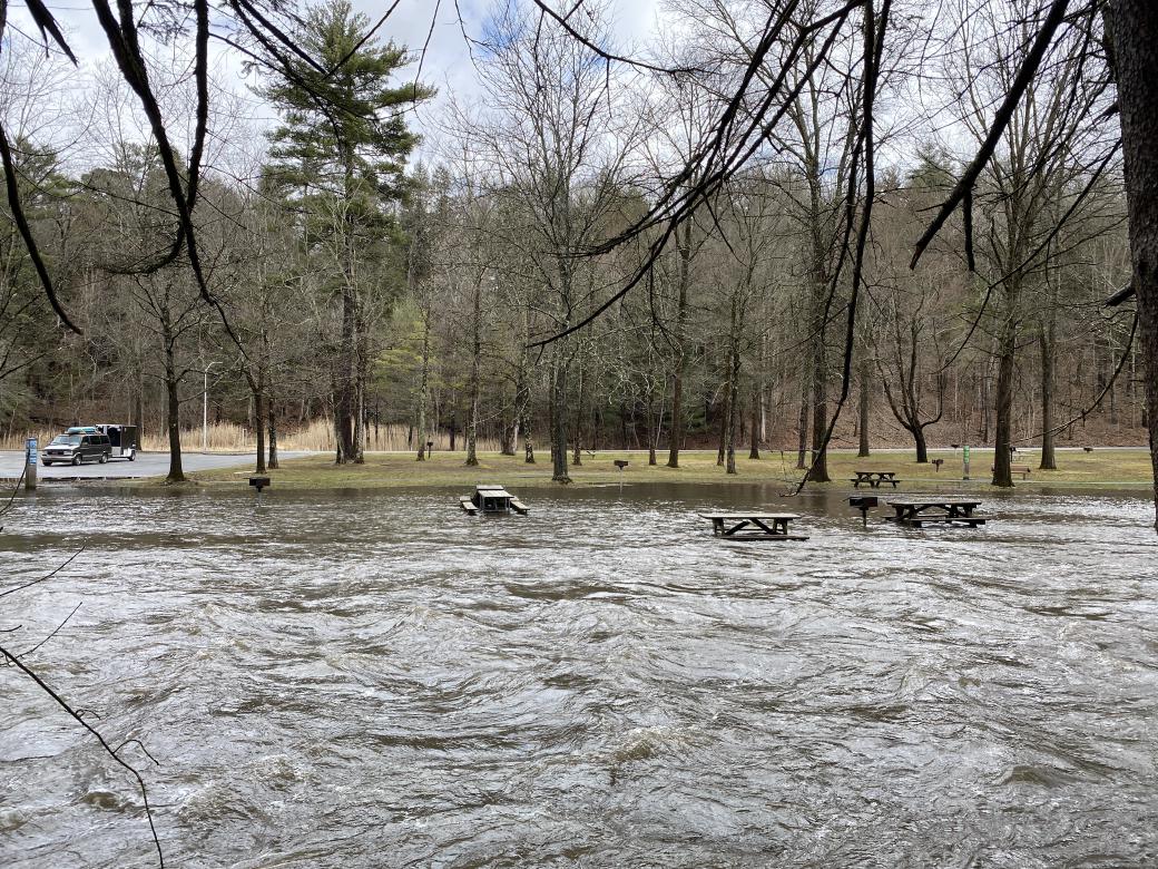 A picture of a flooded creek and multiple picnic tables sitting in the water.