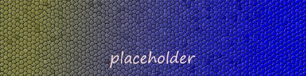 An abstract picture, composed of a mosaic tiles, with the word placeholder in the middle.